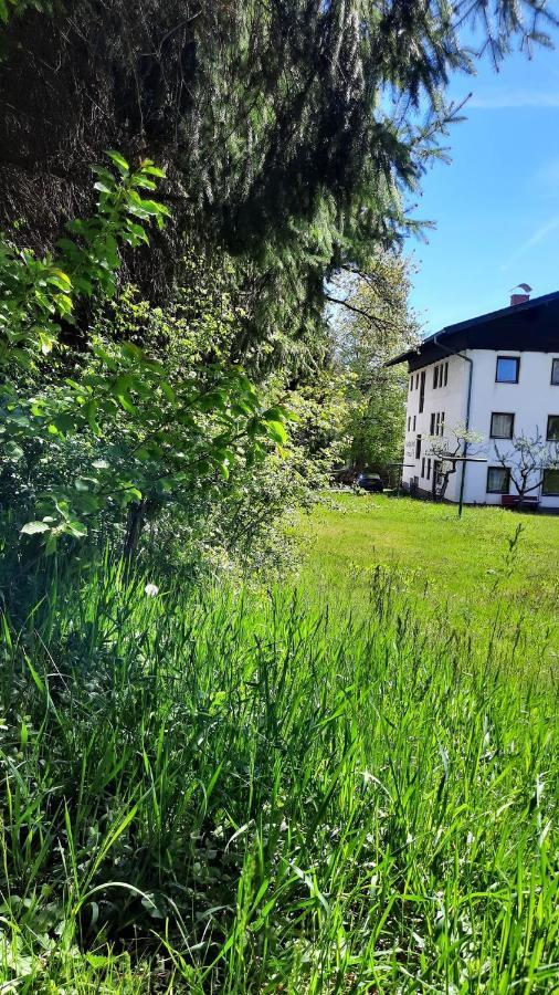 Gaestehaus Post Aigner Greifenburg Exteriér fotografie